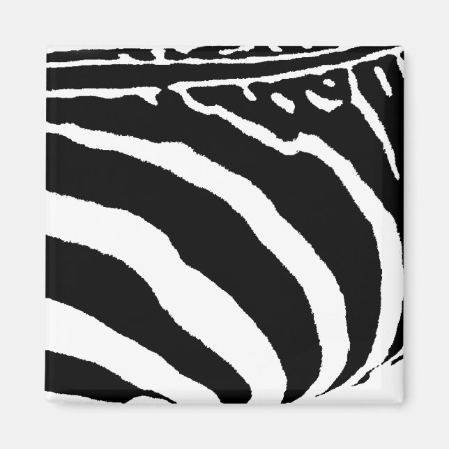 Imã zebra (Frente)