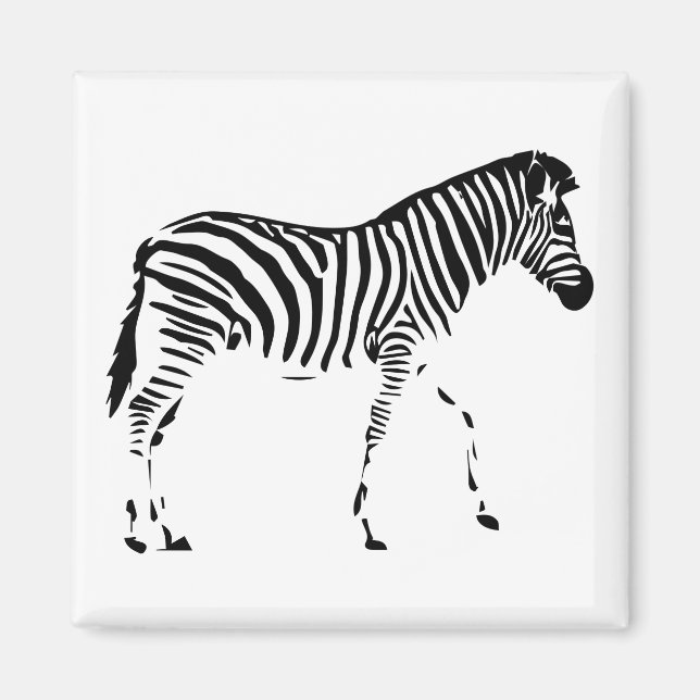 Imã Zebra (Frente)