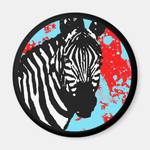 Imã zebra.
