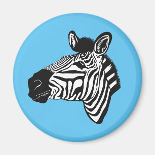 Imã Zebra