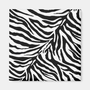Imã zebra 1