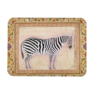Ímã Zebra, de "do álbum Minto", 1621 (gouache no pa