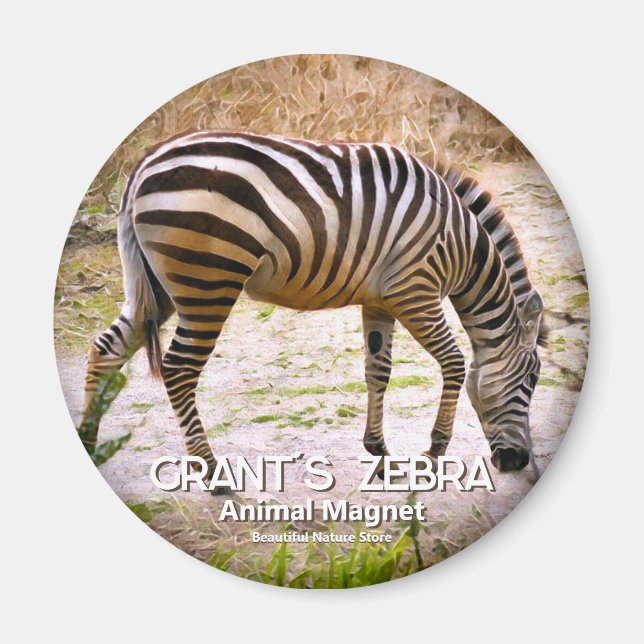 Imã zebra de Grant ímã (Frente)