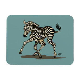 Ímã Zebra do bebê no fundo azul