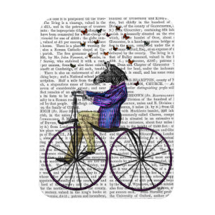 Ímã Zebra em Bicicleta