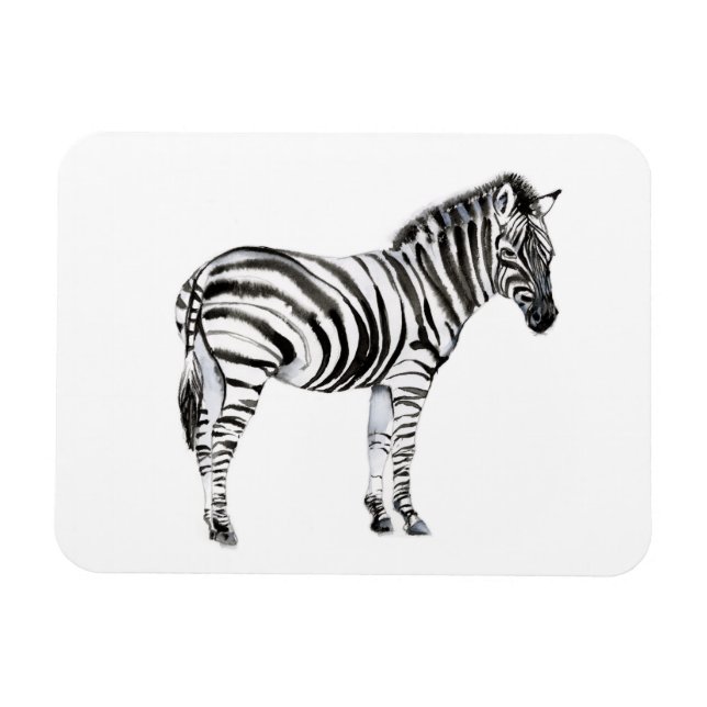 Ímã Zebra em pé (Horizontal)