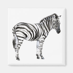 Imã Zebra em pé
