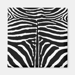 Imã Zebra em Preto e Branco