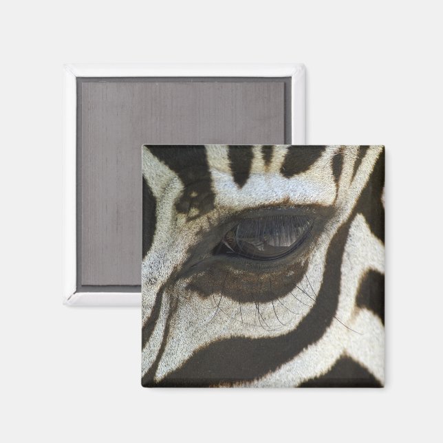 Imã Zebra Eye Magnet (Front/Back)