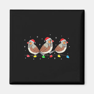 Imã Zebra Finch Pássaro Natal Luzes Engraçadas Pet Xma