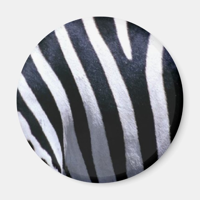 Imã Zebra fur (Frente)