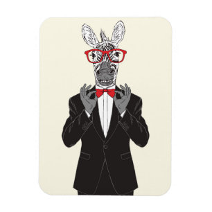 Ímã Zebra Gentleman