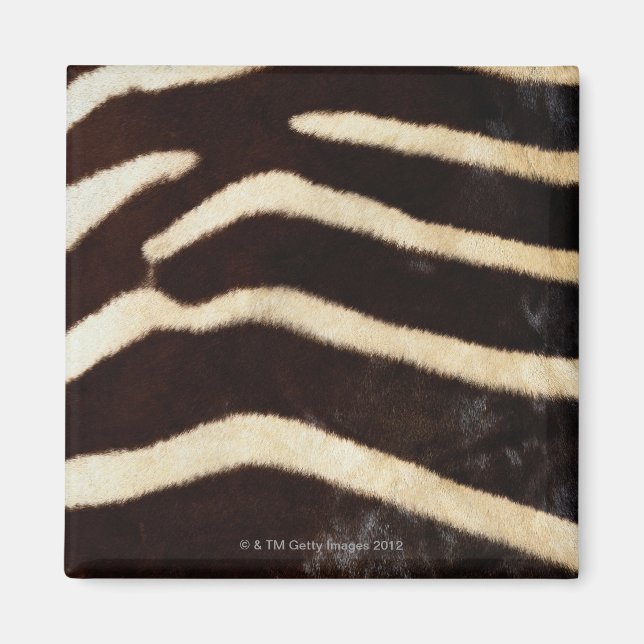 Imã Zebra Hide (Frente)