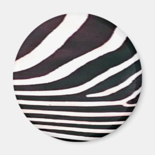 Imã Zebra Impressão