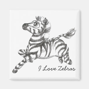 Imã Zebra Magnet