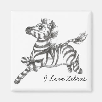 Imã Zebra Magnet