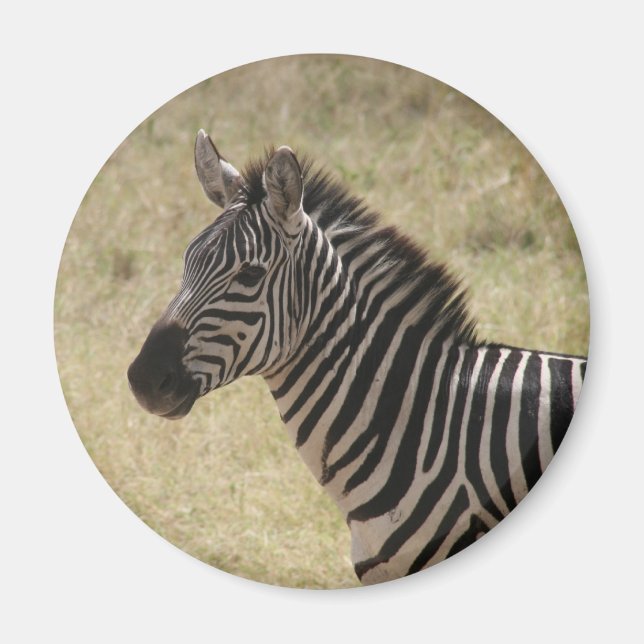 Imã zebra mane (Frente)