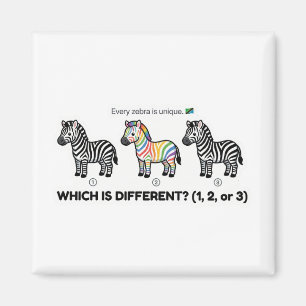 Imã Zebra Que é Diferente