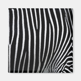 Imã Zebra Skin