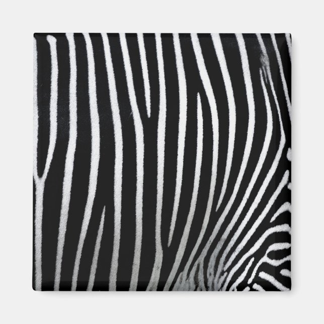 Imã Zebra Skin (Frente)