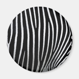 Imã Zebra Skin