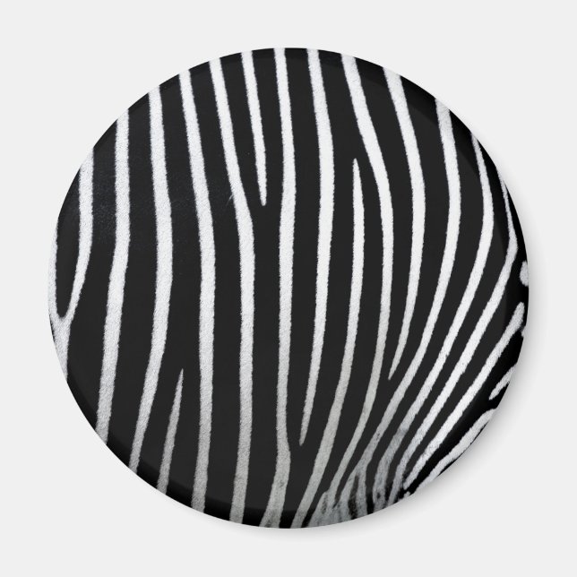 Imã Zebra Skin (Frente)