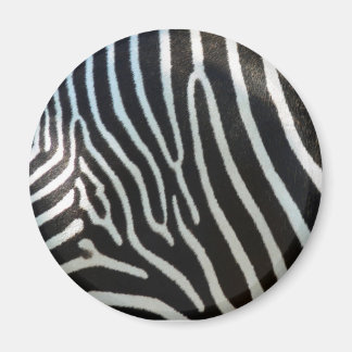Imã Zebra Stripes