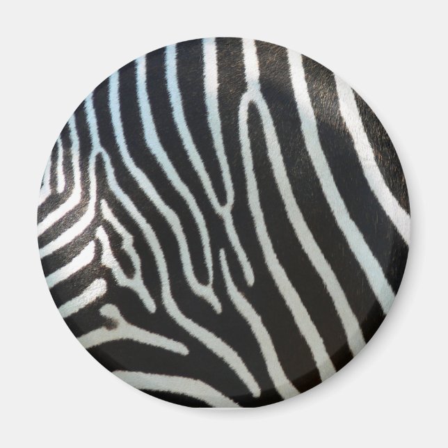 Imã Zebra Stripes (Frente)