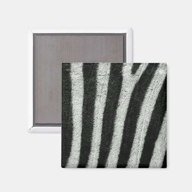 Imã Zebra Stripes Magnet (Front/Back)