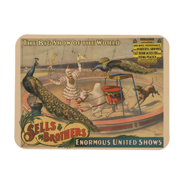 Ímã Zebu E Pavão Com Treinador De Palhaços (Horizontal)