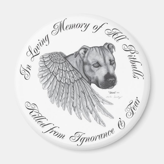 Imã Zeus Angel (Frente)