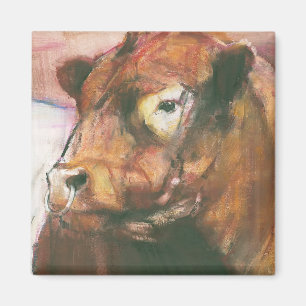 Imã Zeus Galloway cercado vermelho Bull 2006 2
