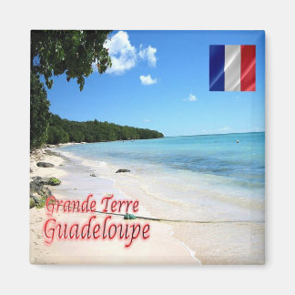 Imã zGP004 GUADELOUPE, Grande-Terre, Praia, Fridge