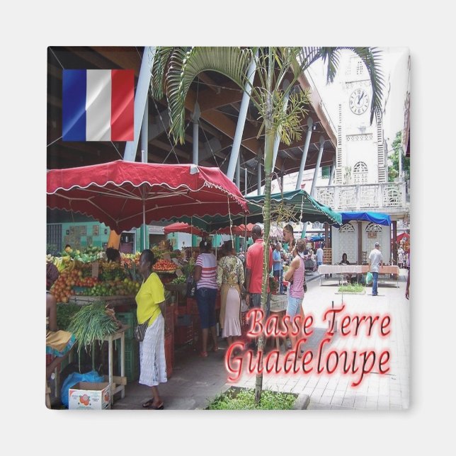 Imã zGP007 GUADELOUPE, Basse-Terre, Fridge (Frente)