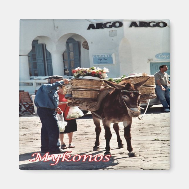 Imã zGR119 MYKONOS Donkey, Grécia, Fridge (Frente)