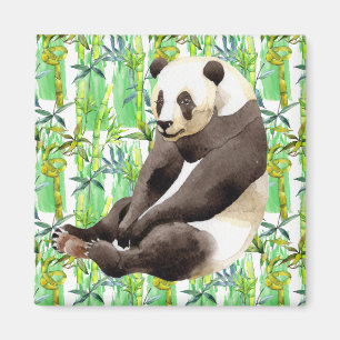 Imã Zhen Zhen o Panda no Bambu
