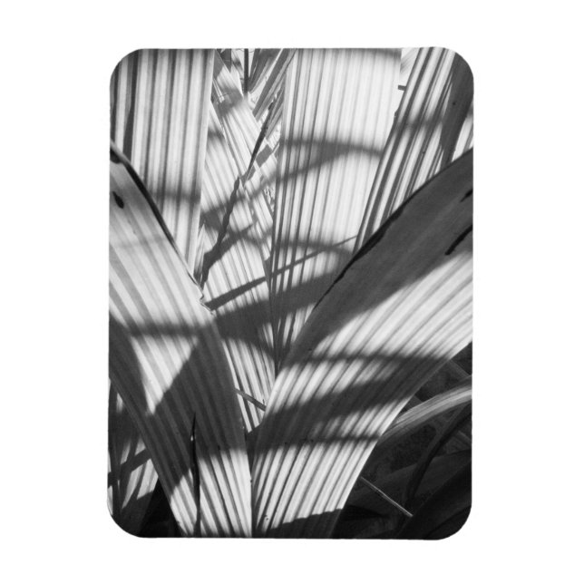 Ímã Zigzag (Vertical)