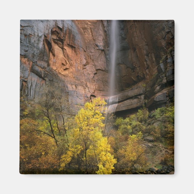 Imã Zion National Park, Utah. EUA. Ephemeral (Frente)