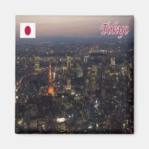 Imã zJP008 TOKYO, Japão, Ásia, Fridge