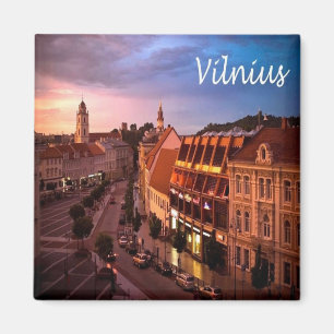Imã zLT009 VILNIUS, Lituânia, Europa, frigorífico