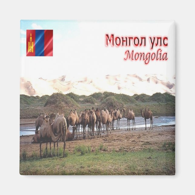 Imã zMN008 KHONGORYN ELS CAMELS, Mongólia, frigorífico (Frente)