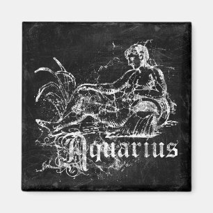 Imã Zodiac Vintage Aquarius