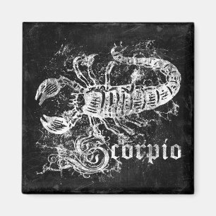Imã Zodiac Vintage Scorpio