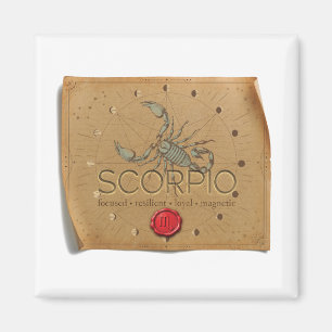 Imã ZODÍACO - Escorpião - Magneto
