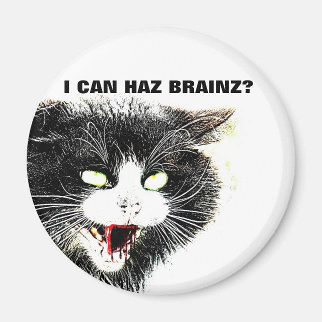 Imã Zombie Cat I Can Haz Brainz Magnet (Frente)