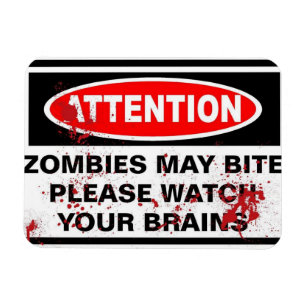 Ímã zombis