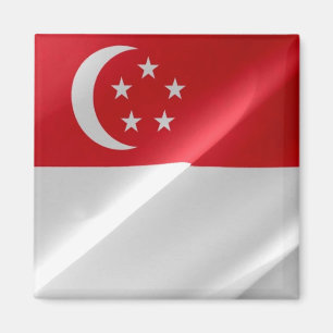 Imã zSG002 acenando CICLAG Cingapura, geladeira