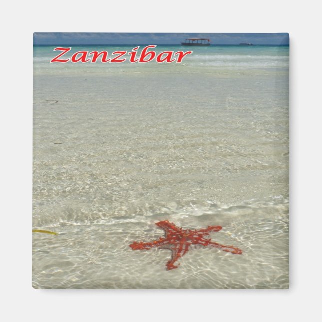 Imã zTZ011 ZANZIBAR, Starfish, Tanzânia, África, frigo (Frente)