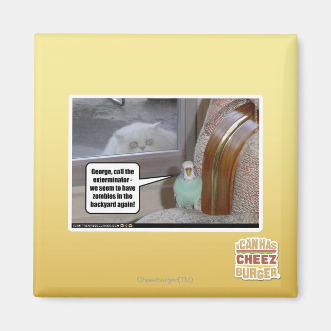 Imã Zumbis no quintal (Frente)