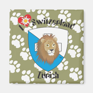 Imã Zurique Suíça Suisse Svizzera íman